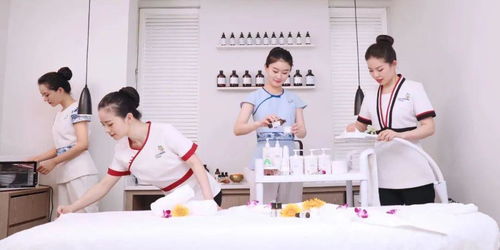 規(guī)范職業(yè)標準，助力行業(yè)提升——美容師國家職業(yè)等級認定教材技術和服務標準拍攝工作圓滿完成